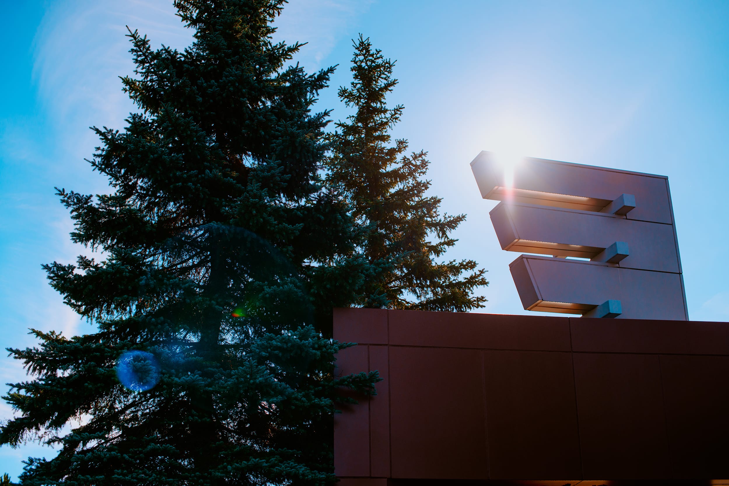 A picture of the exterior of Cambrian College with a tree next to the Cambrian logo