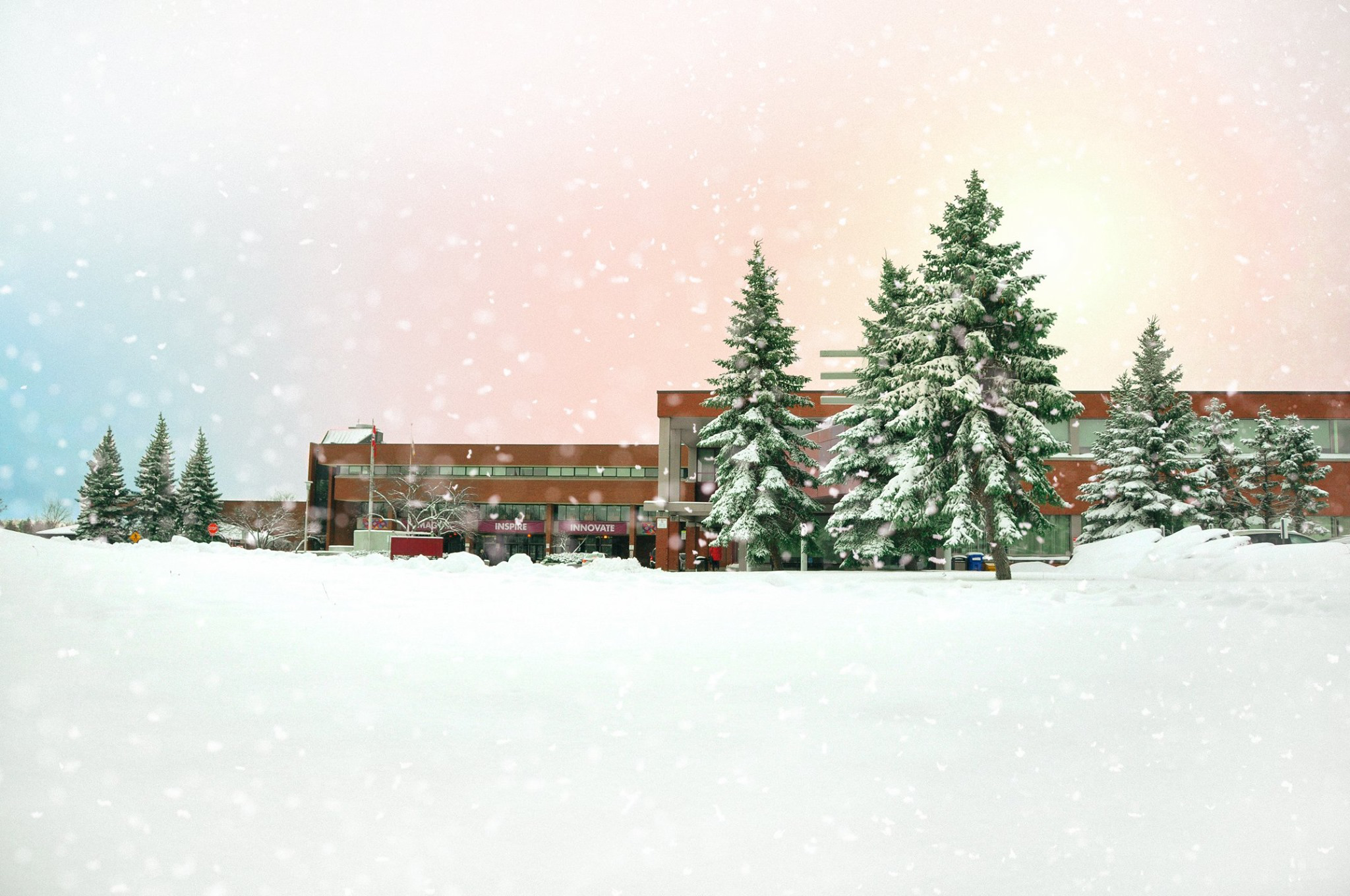 A snow-covered building and evergreen trees stand serenely under a pastel-hued sky, as falling snow gently supports the enchanting holiday atmosphere.