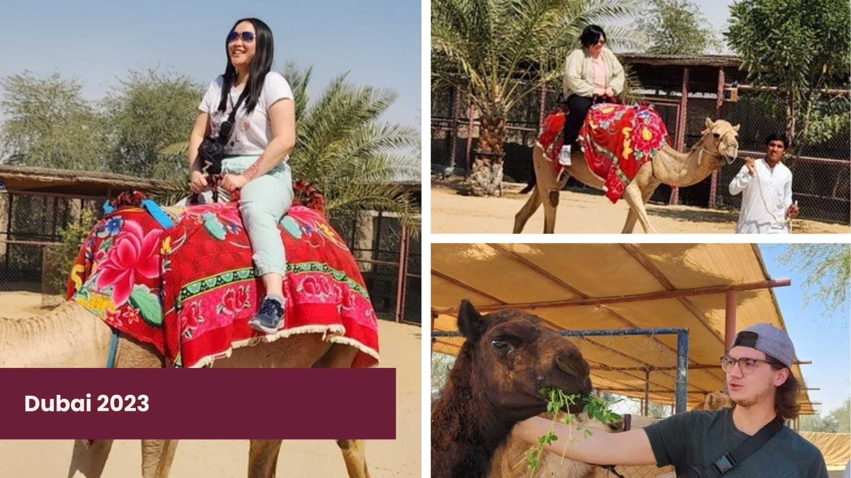 A woman and a man ride camels decorated with red blankets, while another man feeds a camel. The scene captures the spirit of adventure during the Cambrian College Global Skills Opportunity. Text reads "Dubai 2023.